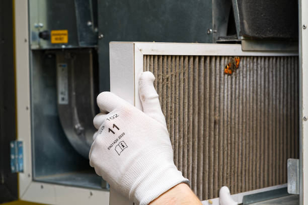Best Commercial HVAC Duct Cleaning  in Wendell, NC