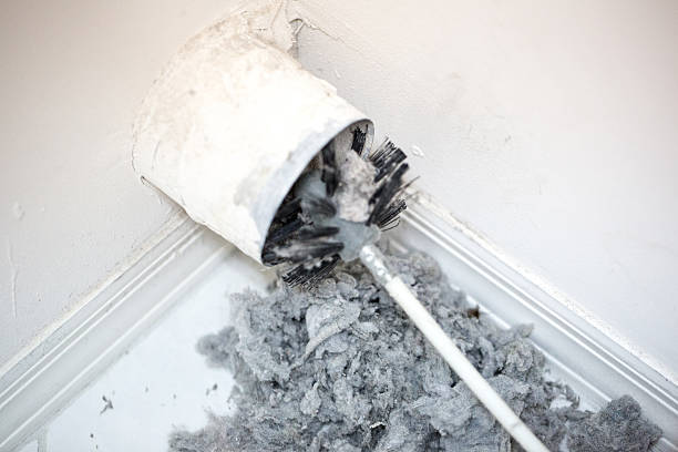 Best Affordable Air Duct Cleaning  in Wendell, NC